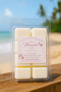Paradise Air Wax Melts - Breezy Uplifting Scent | 2.5oz Soy Wax